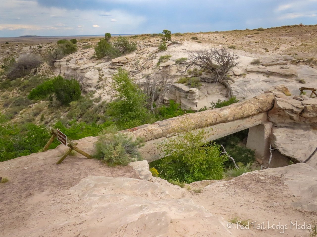 Petrified Forest National Park, Arizona - September 10, 2023